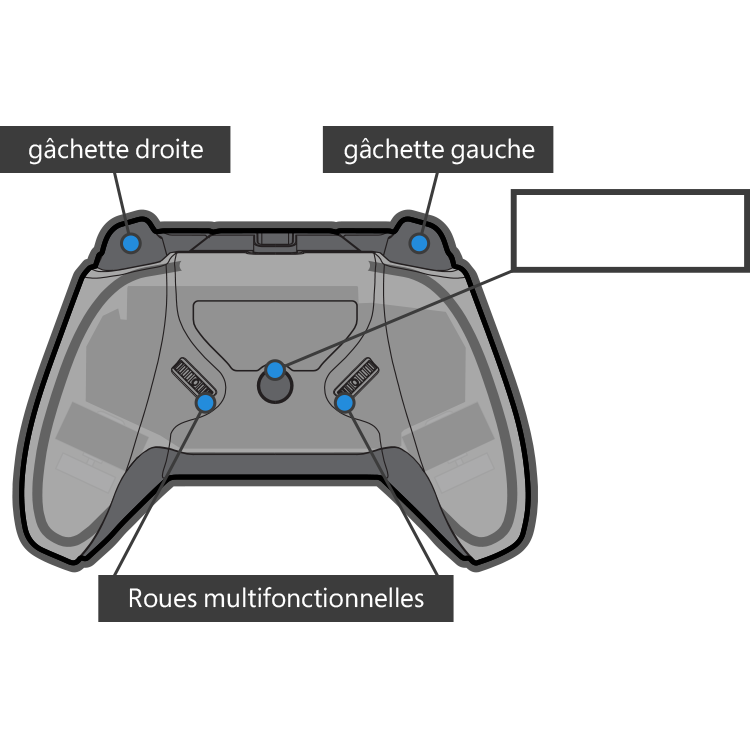 Afterglow Prismatic Controller back diagram