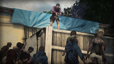 Superviviente aislado